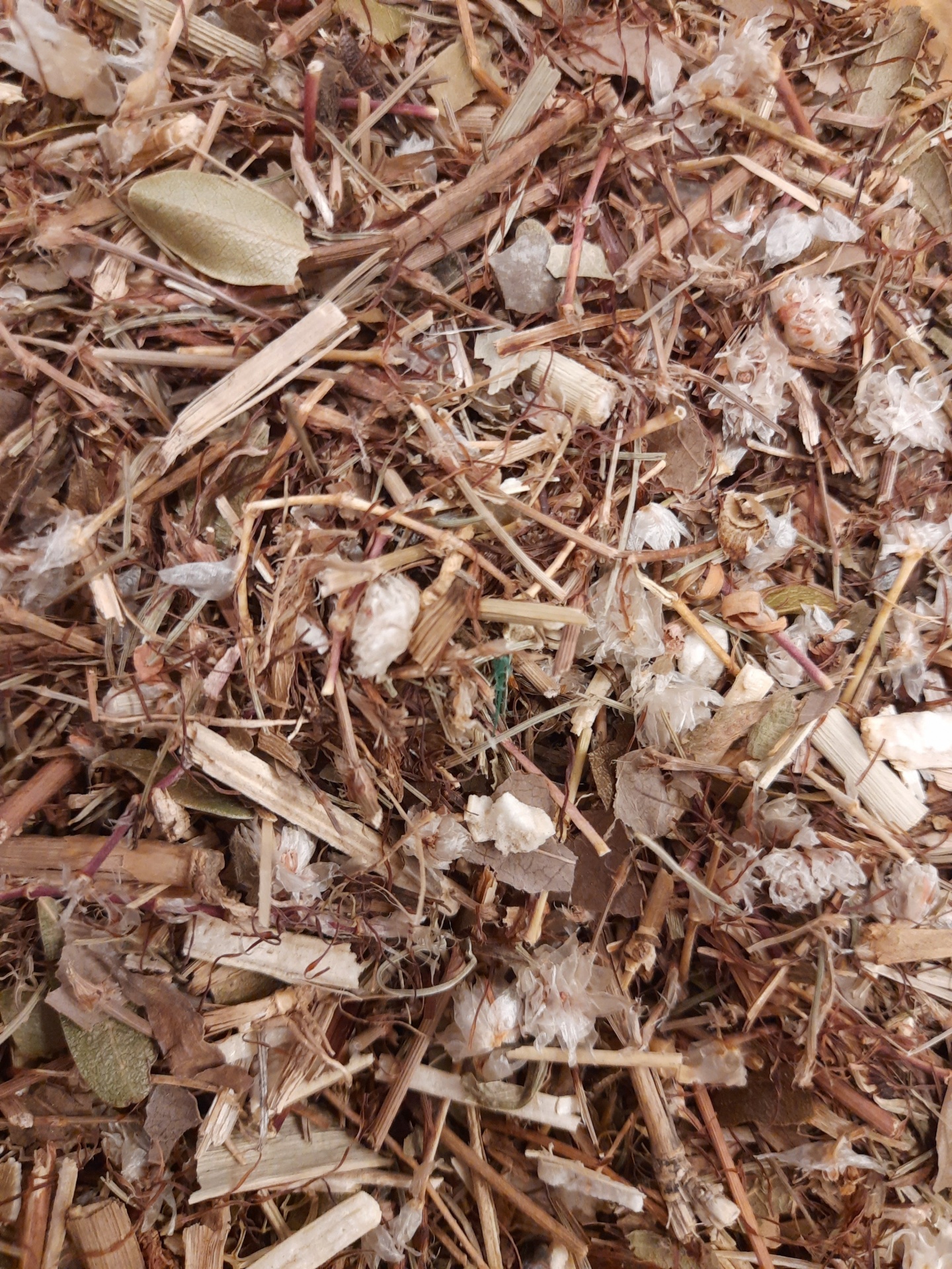 Mistura de matérias vegetais secas em tons castanhos e bege