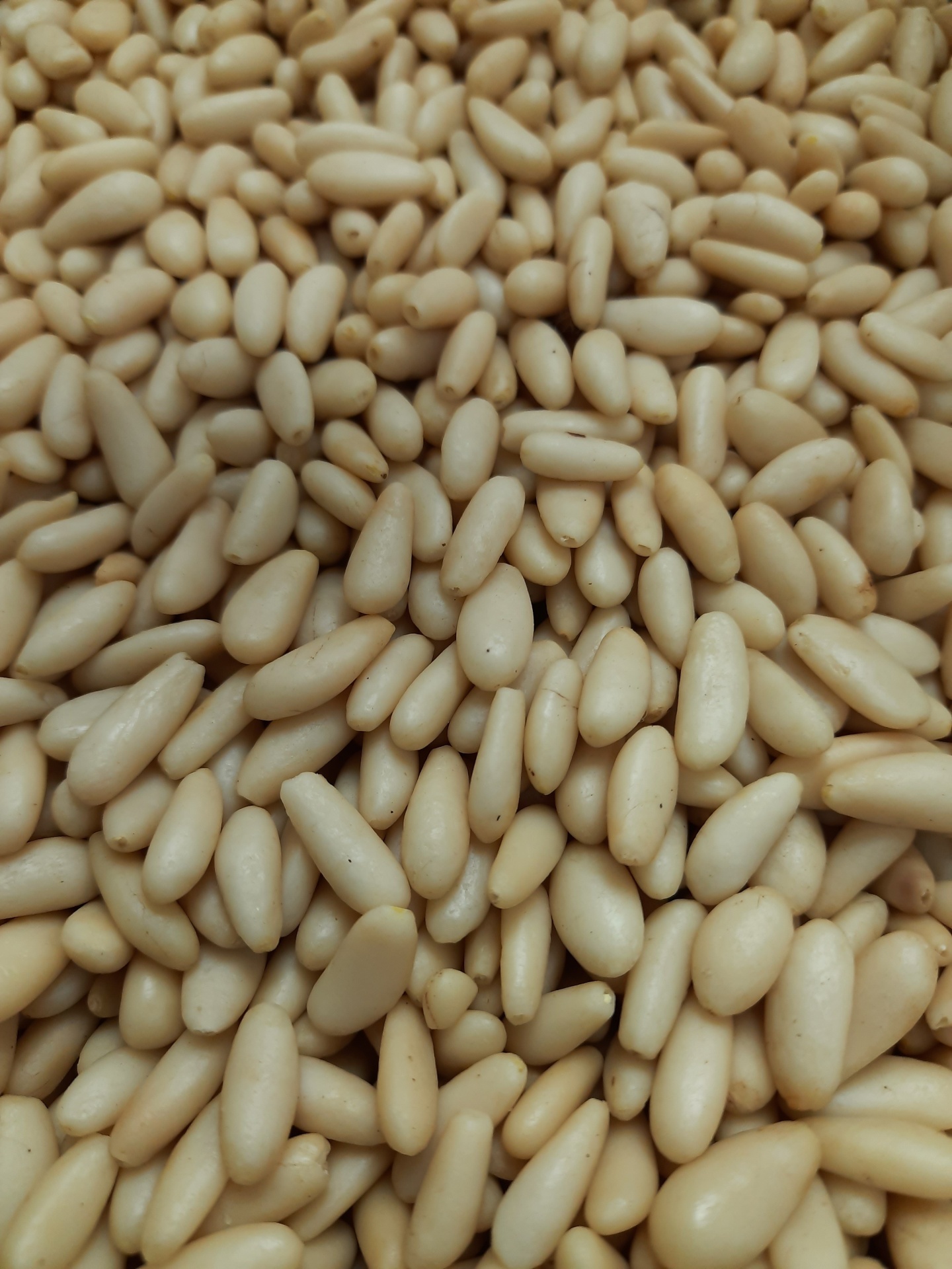 Pinhões creme em amontoado com textura lisa