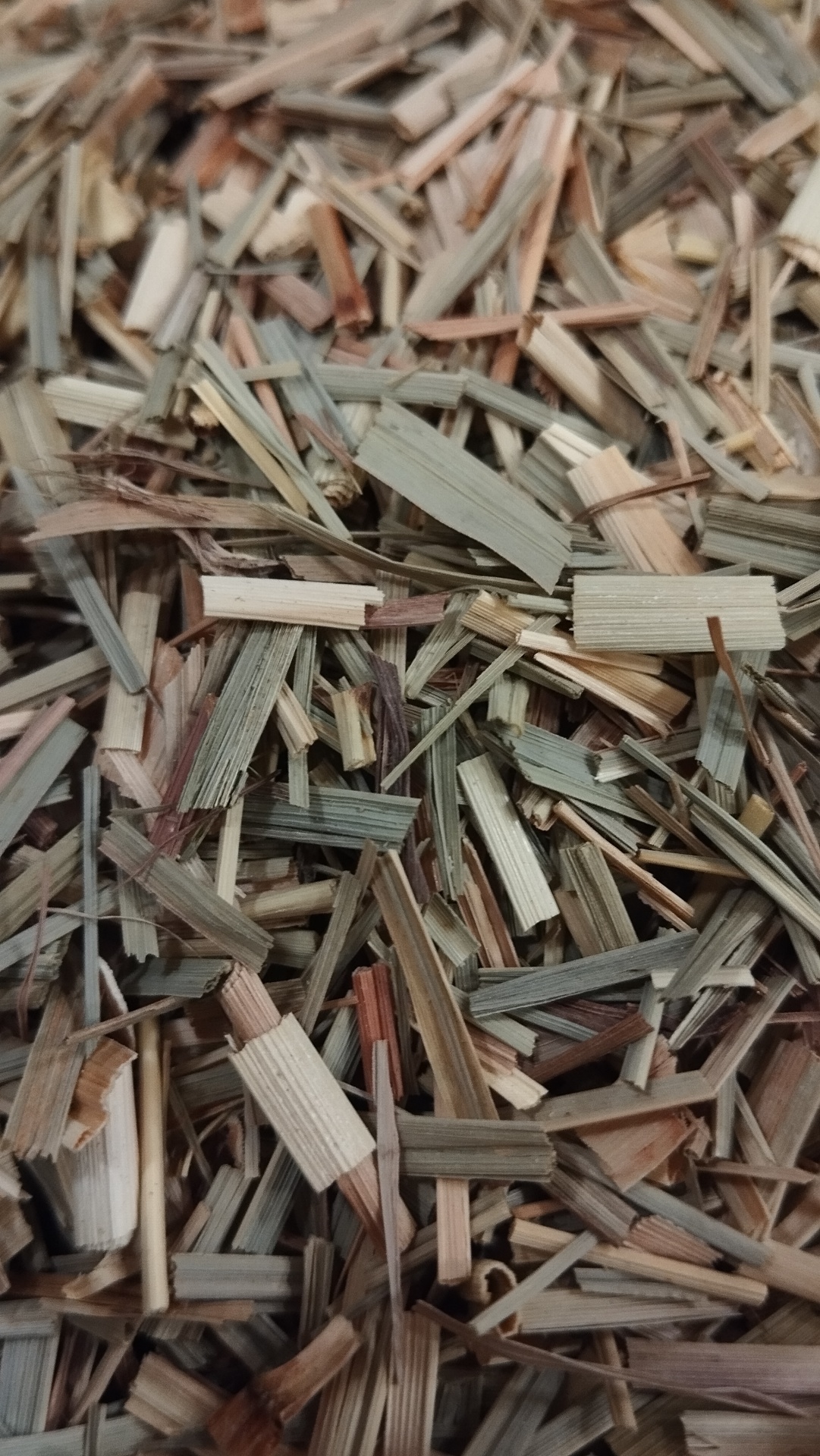 Lascas e pedaços de madeira de várias cores e texturas