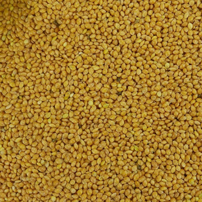 Sementes amarelas pequenas e lisas cobrindo toda a imagem