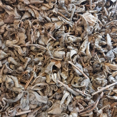 folhas secas de cor castanha e cinza juntas