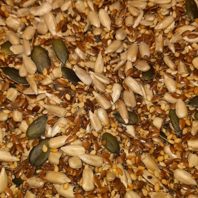 Mistura de sementes variadas coloridas