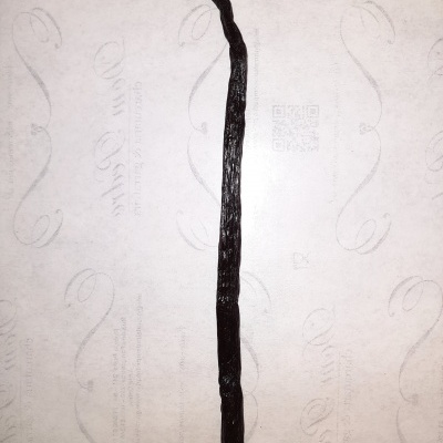 Vagem longa de baunilha preta sobre fundo branco com padrões cinzentos