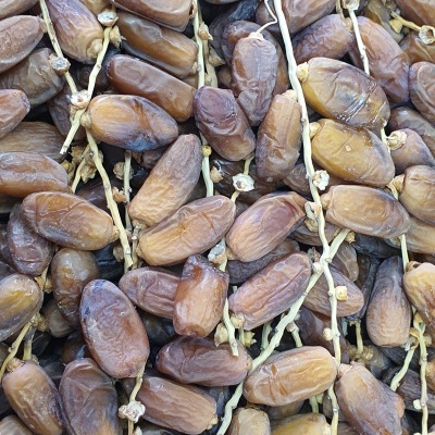 Tâmaras secas em cachos com talos finos visíveis, em tons castanhos variados