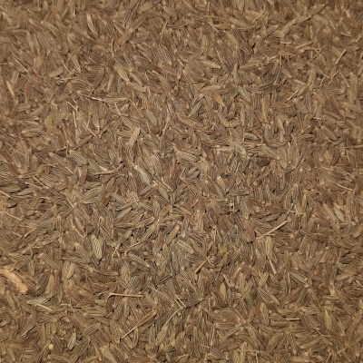 Sementes castanhas de alcaravia sobre uma superfície