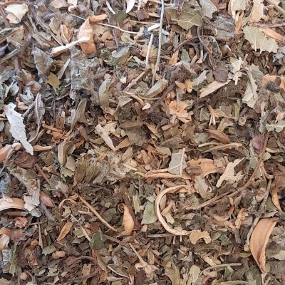 Ervas secas e folhas desidratadas variadas