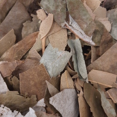 pequenos pedaços de folhas secas castanhas, bege e cinzentas sobrepostas