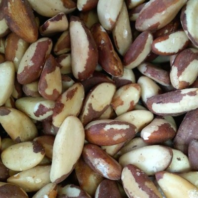 Nozes do Brasil com casca parcial marrom e branca