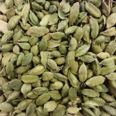 Vagens de cardamomo verdes com textura enrugada