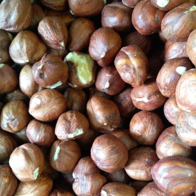 Avelãs marrons com casca e partes brancas visíveis