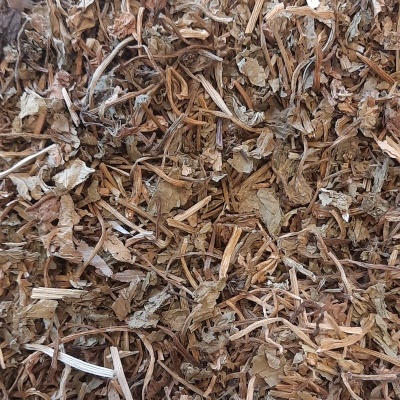 Ervas e galhos secos castanhos e verdes misturados