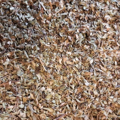 Cascas de pinhão secas castanhas num grande volume