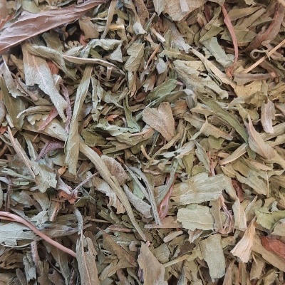 Folhas secas verdes e castanhas, textura de ervas secas