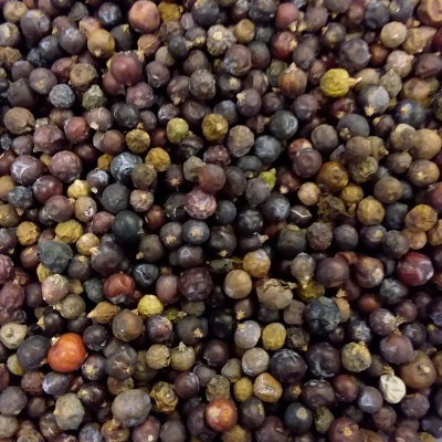 Bagas de zimbro secas em recipiente de madeira