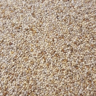 Sementes pequenas bege e castanho claro distribuídas uniformemente