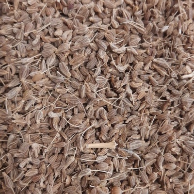 Sementes marrons claras com fibras secas amontoadas