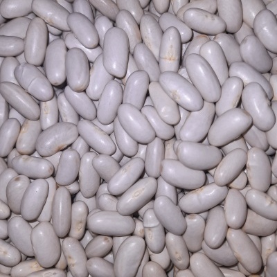 Feijão branco em grande quantidade e textura lisa