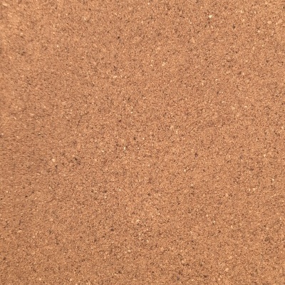 Superfície lisa de cortiça castanha clara.