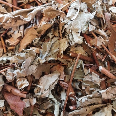 Folhas secas e paus castanhos misturados em fundo neutro