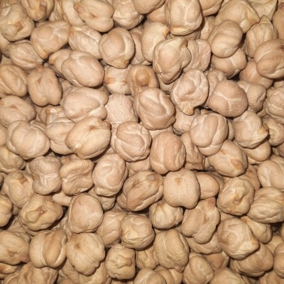 Grão-de-bico cru bege com textura rugosa