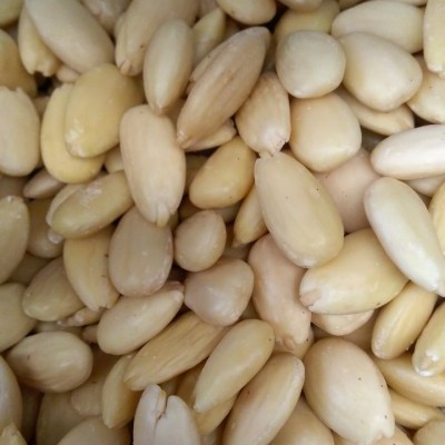 Amêndoas descascadas em close-up, textura lisa, cor creme clara.