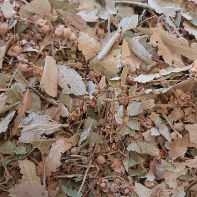 Mistura de folhas secas e flores pequenas em tons verdes e castanhos.