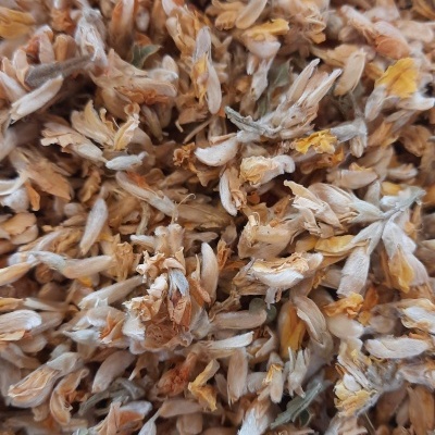 Flores secas em tons naturais com textura delicada