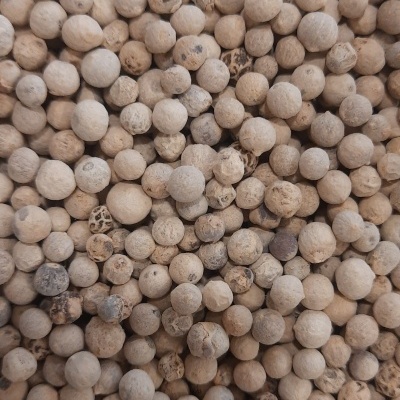 Grãos de pimenta branca redondos, bege claro, textura rugosa
