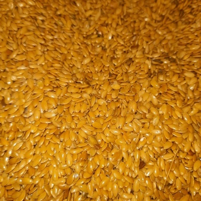 Sementes douradas e brilhantes, texturizadas, em grande quantidade