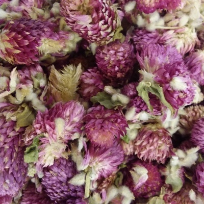 Flores secas roxas com partes verdes e brancas em destaque