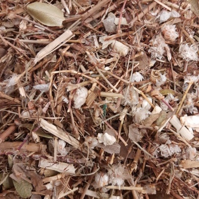 Mistura de matérias vegetais secas em tons castanhos e bege