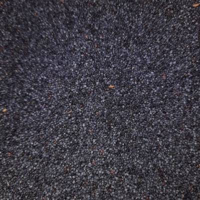 sementes pequenas negras espalhadas uniformemente