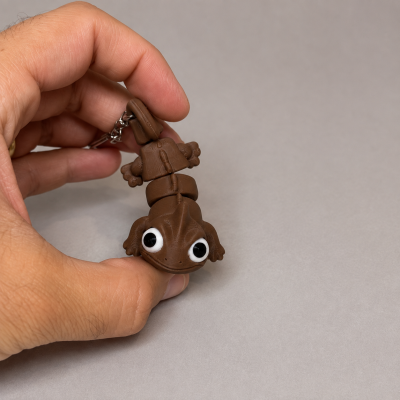 Chaveiro de lagarto castanho com olhos grandes e fundo cinzento
