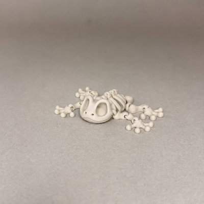 Modelo de esqueleto de rã bege claro sobre fundo cinzento