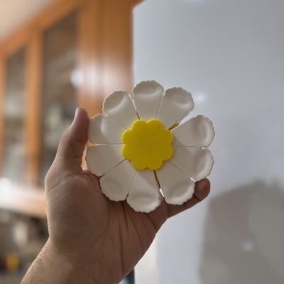 Mão a segurar flor do mar em plástico branco com centro amarelo