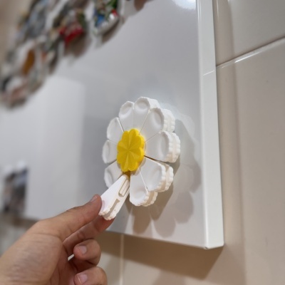 Imã flor branco e amarelo numa superfície branca