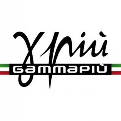 Logótipo gamma piu com cores da bandeira italiana