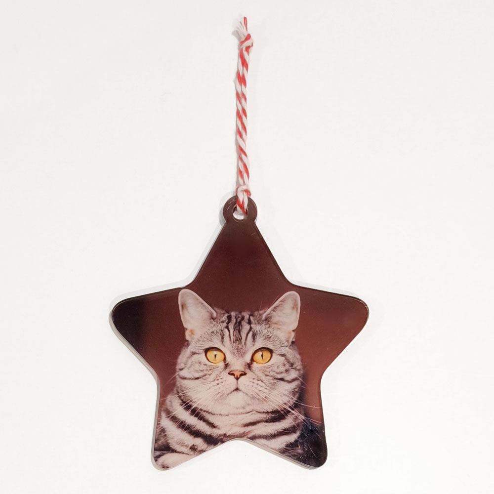 pendente estrela com gato cinza e cordão vermelho e branco