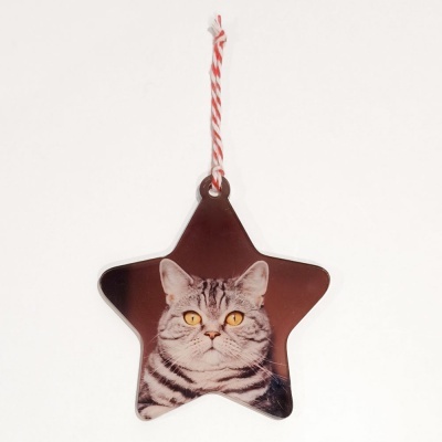 pendente estrela com gato cinza e cordão vermelho e branco