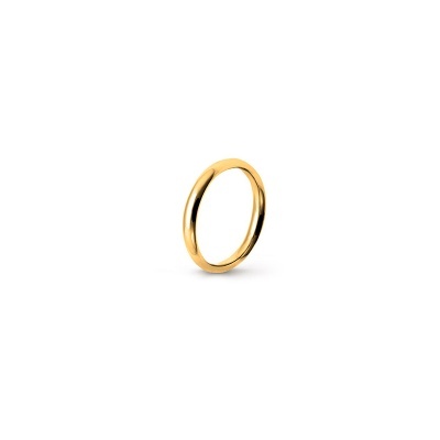 Anel dourado simples