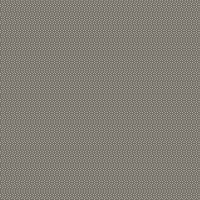 TILDA | Poppy Seed | Charcoal