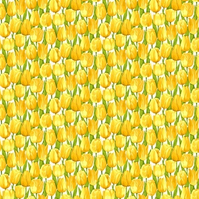 MAKOWER UK | Summer Days | Tulip