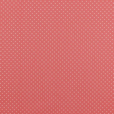 Tecido Básico | Bolinhas
