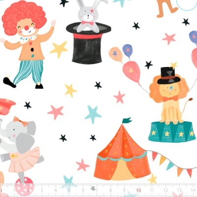 CATEX | Circo dos Bichos | Magia do Circo