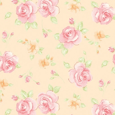 BERNATEX | Sweet Baby Rose | Rosa Posa Light Apricot