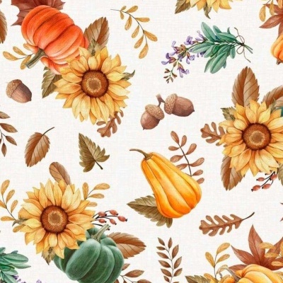 Half Panama | Abóboras e Girassóis