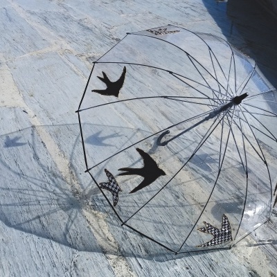 Guarda-chuva transparente com desenhos de andorinhas pretas e padrão quadriculado preto e branco