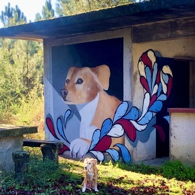 Mural de cão em parede exterior com cão real sentado na relva