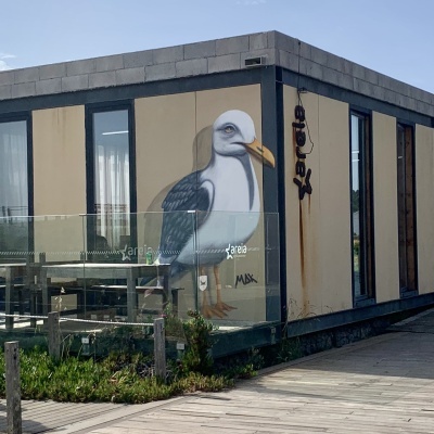 Prédio com pintura de gaivota e janelas de vidro em passadiço de madeira