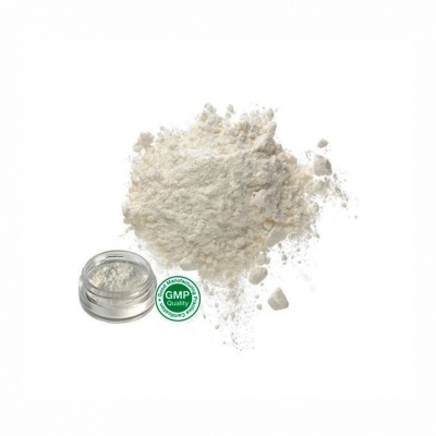 Pó branco solto e recipiente pequeno transparente com selo GMP Quality